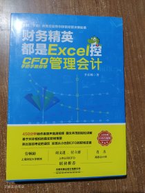 财务精英都是Excel控：CFO手把手教你学管理会计（正版未拆封）