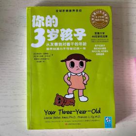 你的3岁孩子：从友善到对着干的年龄，培养创造力不可错过这一年