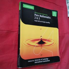 Pure Mathematics 2 and 3