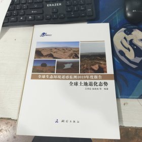 全球生态环境遥感监测2019年度报告——全球土地退化态势