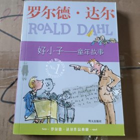 好小子-童年故事：罗尔德·达尔作品典藏