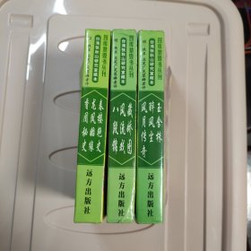 四库禁毁书丛刊【三册合售】