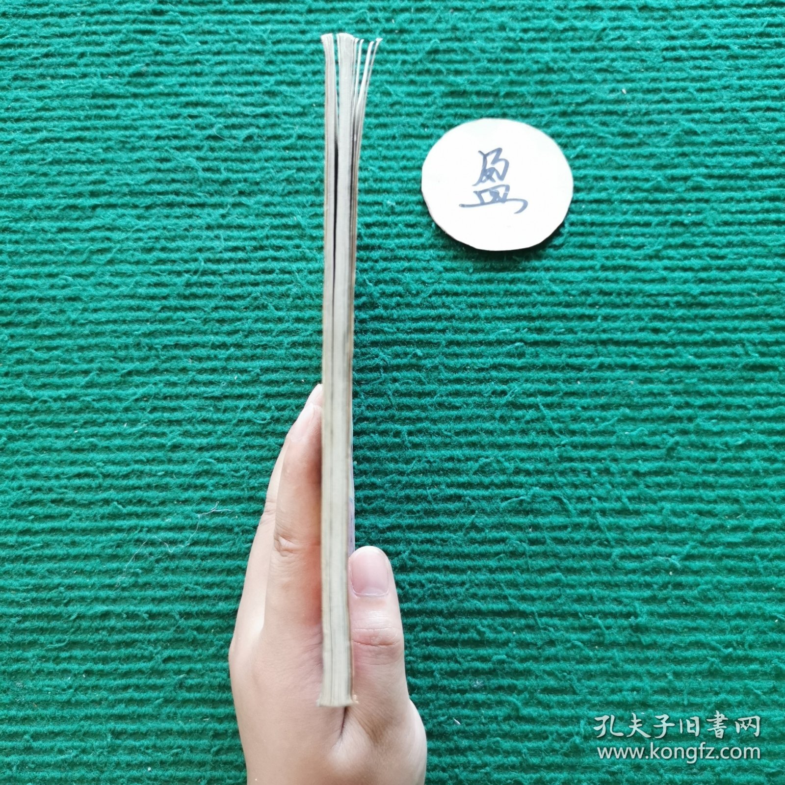 霹雾女警霸王花1