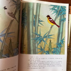 工笔梅兰竹菊实用画法