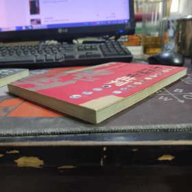 中国城市批判（如图书脊有瑕疵 扉页有瑕疵）