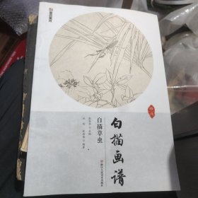 墨点美术白描画谱 白描草虫 储2-4架