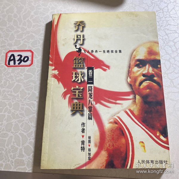 乔丹篮球宝典：卷2降龙八掌篇