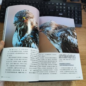 环球人文地理2010年（第1一6、8、12期）8本合售