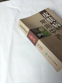 皮肤病常用中药