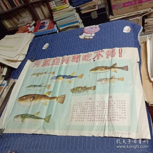 宣传画:河豚有毒吃不得！河北省商业局印制  2开   大门牙，小腮孔，大肚皮