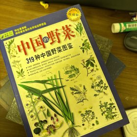 319种中国野菜图鉴