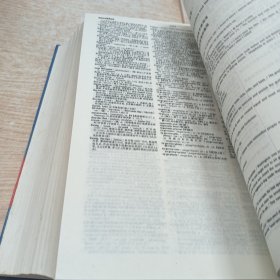 英汉大词典