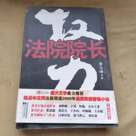 权力：法院院长