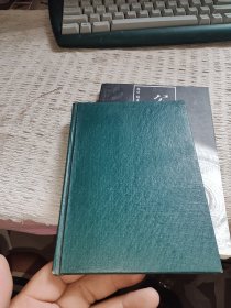 小城鎮(zhèn)新論
