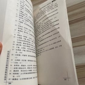 堤坝劈裂灌浆防渗加固技术