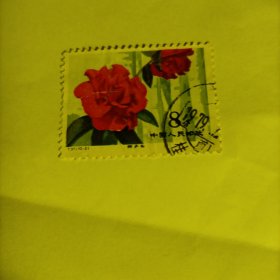 邮票 1979 T37云南山茶花 信销票1张