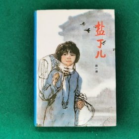 盐丁儿（大32开）（精装版）（红色长篇小说）