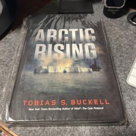 ArcticRising