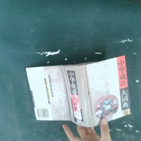 中華成語大詞典