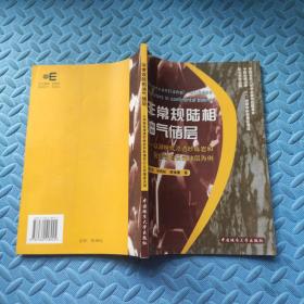 非常规陆相油气储层:以湖相低渗透砂砾岩和裂缝性白云岩储层为例