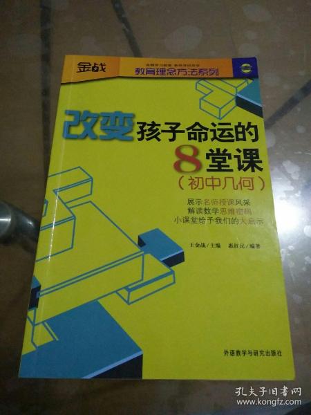 金战·教育理念方法系列·改变孩子命运的8堂课：初中几何