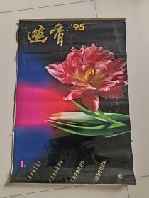 幽香挂历1995年（全12张 塑膜）