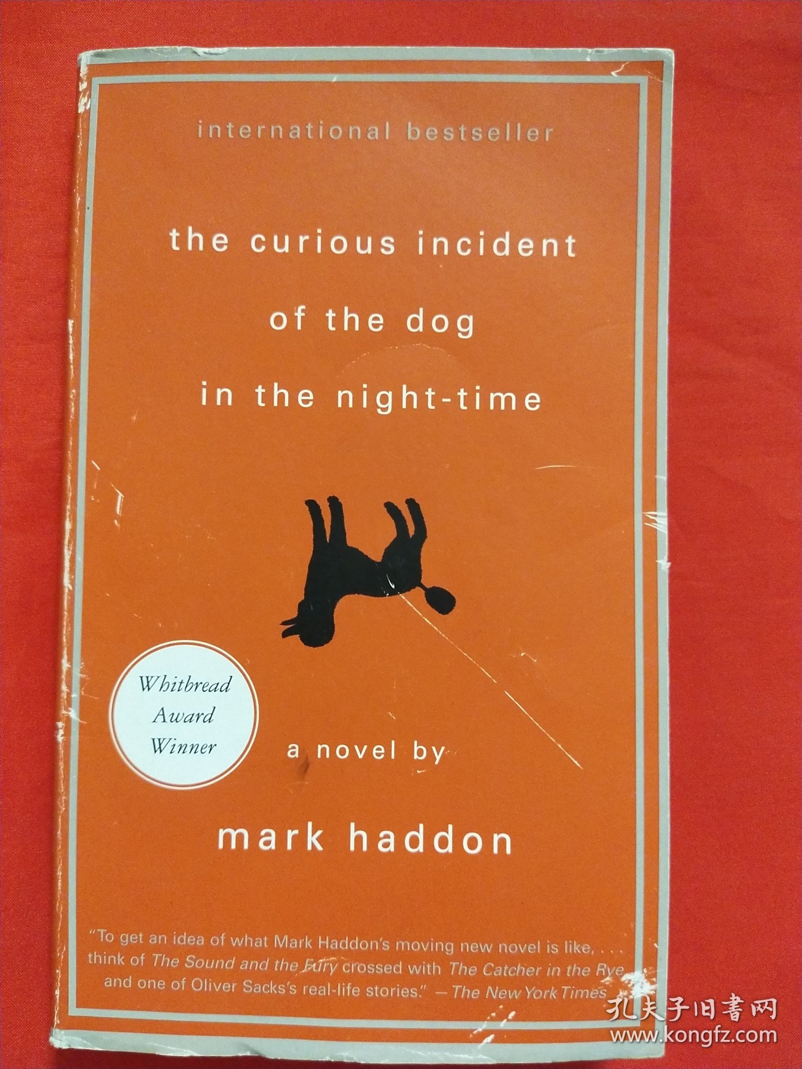 The Curious Incident of the Dog in the Night-Time