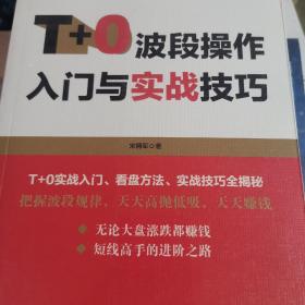 T+0波段操作入门与实战技巧