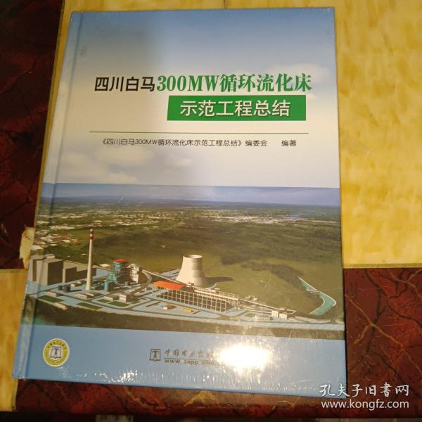 四川白马300MW循环流化床示范工程总结