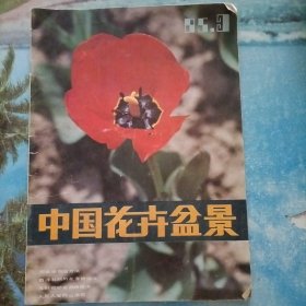 中国花卉盆景1985.3