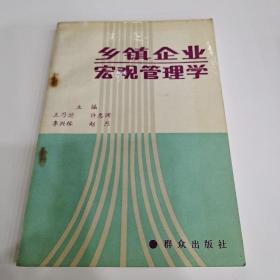 乡镇企业宏观管理学