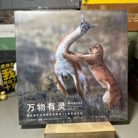 万物有灵：国际野生生物摄影年赛第55届获奖作品