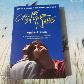 正版英文原版Call Me By Your Name 请以你的名字呼唤我夏日终曲