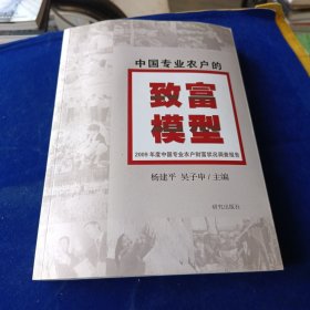 中国专业农户的致富模型