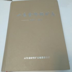 山东金岭铁矿志2001-2010