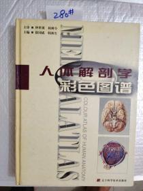人体解剖学彩色图谱