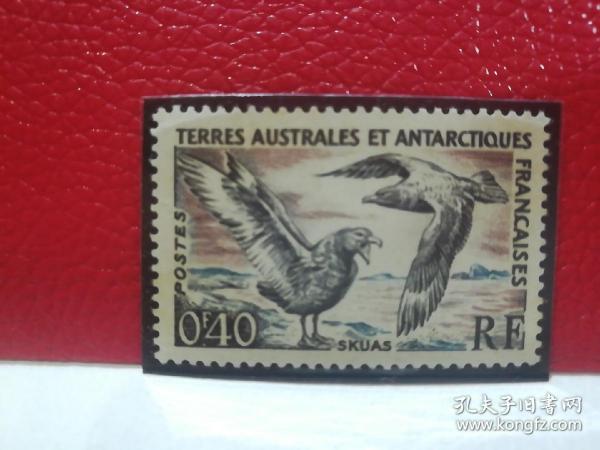 J23一34法属南极邮票1959年鸟40C雕刻版1枚原胶新票