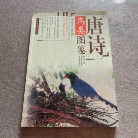 经典唐诗鸟类图鉴