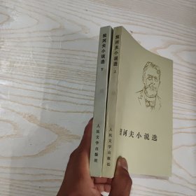 契诃夫小说选 上下