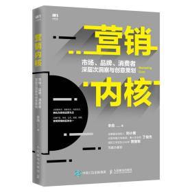 营销内核：市场、品牌、消费者深层次洞察与创意策划