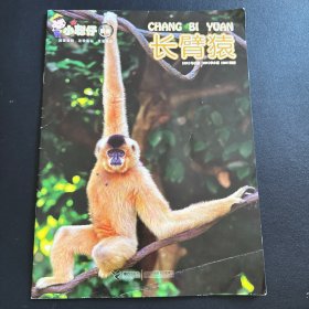 小聪仔·科普版：长臂猿（总第527期）