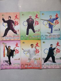 太极2008/1-6 私藏品如图看图看描述(本店不使用小快递 只用中通快递)