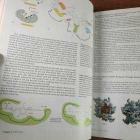 Molecular Biology of the Cell, Fourth Edition 细胞分子生物学，第四版（附光盘/2002年版）