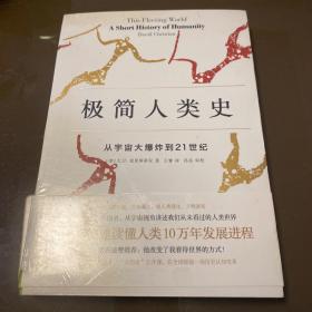 极简人类史：从宇宙大爆炸到21世纪