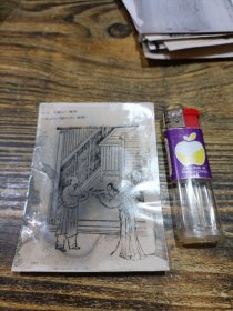 相片 19