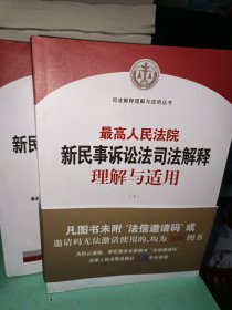 最高人民法院新民事诉讼法司法解释理解与适用