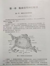 精装 现代神经内科学 李大年 原箱