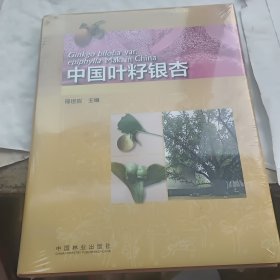 中国叶籽银杏 未拆封