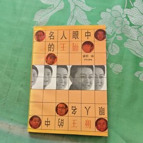名人眼中的王朔
