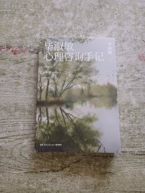 毕淑敏心理咨询手记（知名心理咨询师毕淑敏代表作，31个震撼人心的心理咨询案例）